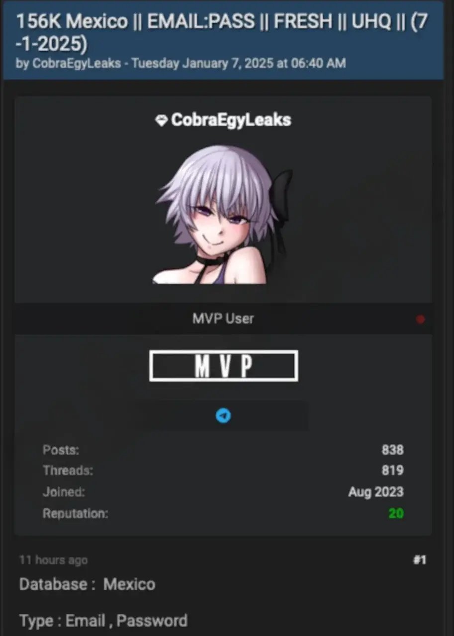 Foro Dark web