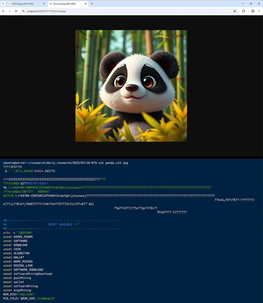 Panda