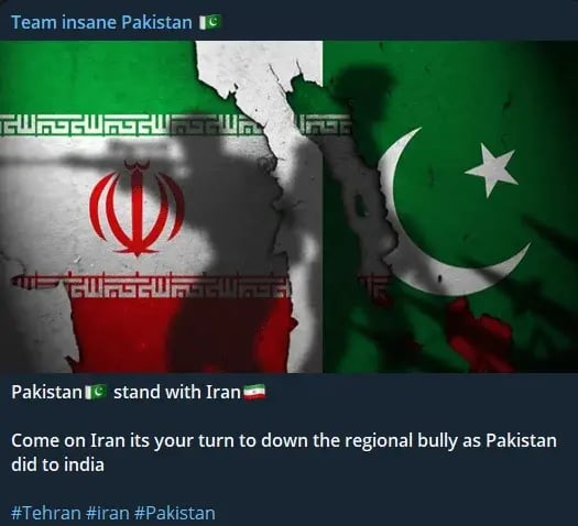 team-insane-pakistan-telegram