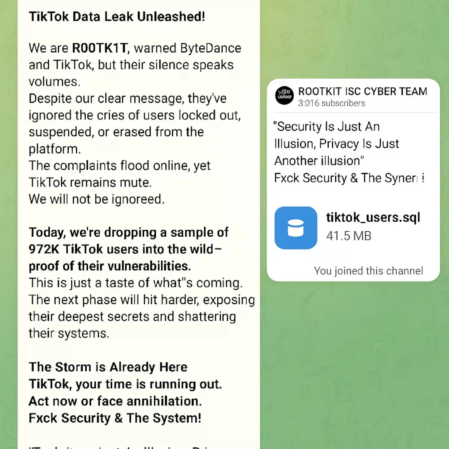 telegram tiktok