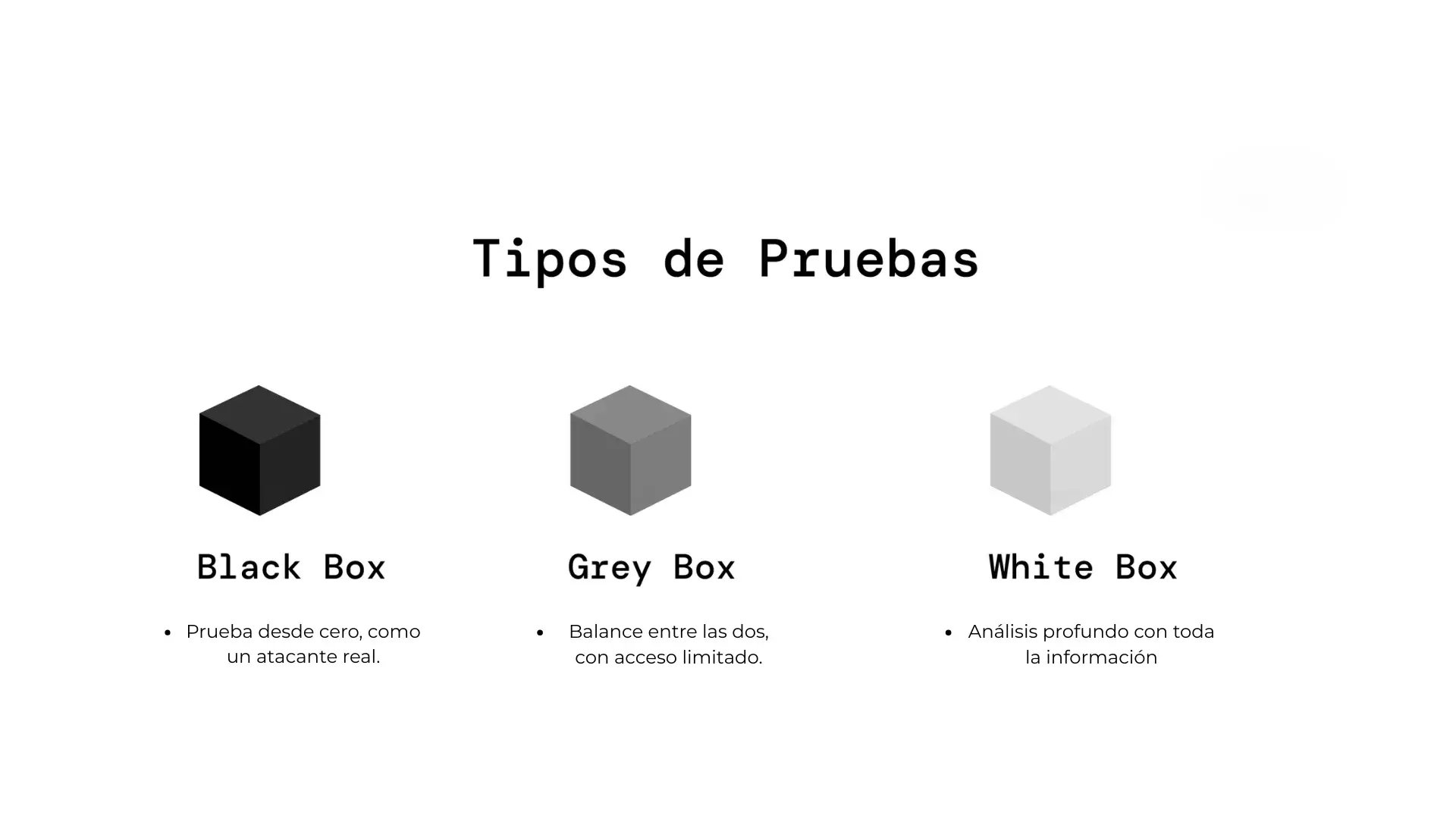 tipos de pentesting