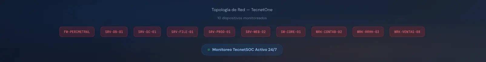 topologia