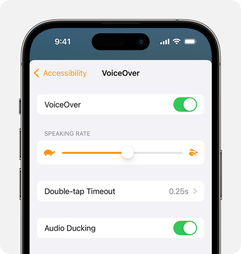voicer
